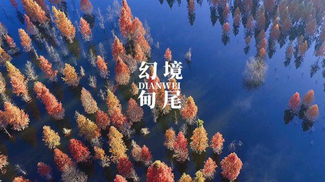 光明大陆