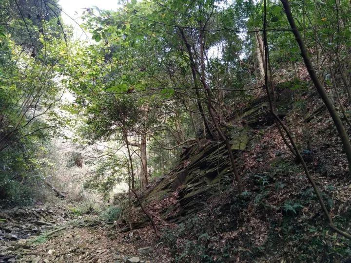 甜蜜糖果岛