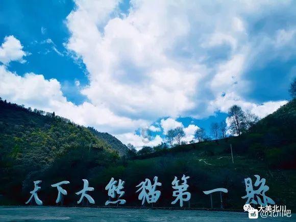 迷你飞机大战
