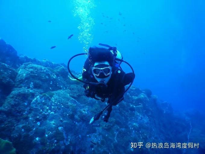 动物记忆大翻牌