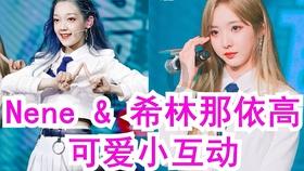 天鹅森林逃脱
