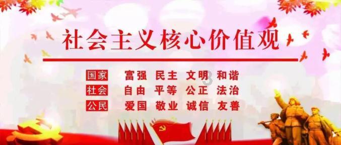 ST起步：公司不属于浙江省凤凰行动计划的对象