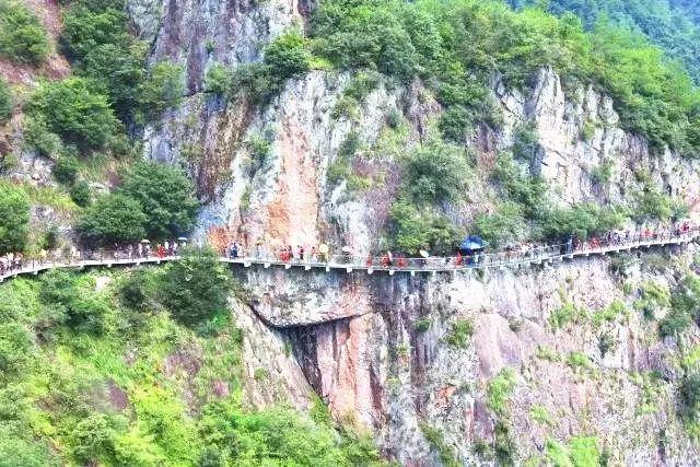 崩坏3