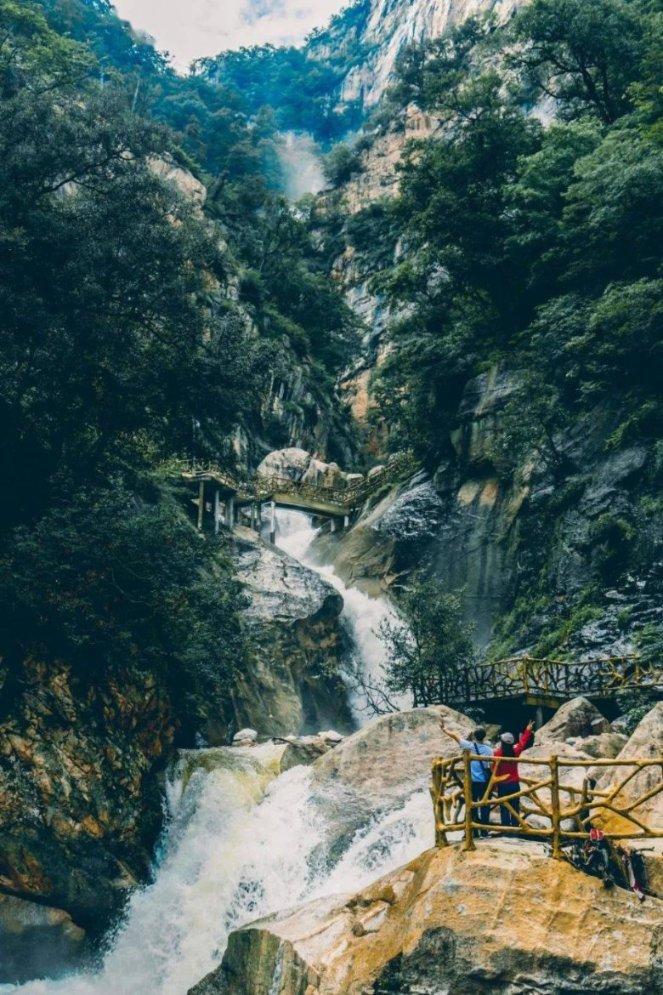 萨摩耶怎么训练 有奖罚分明的态度