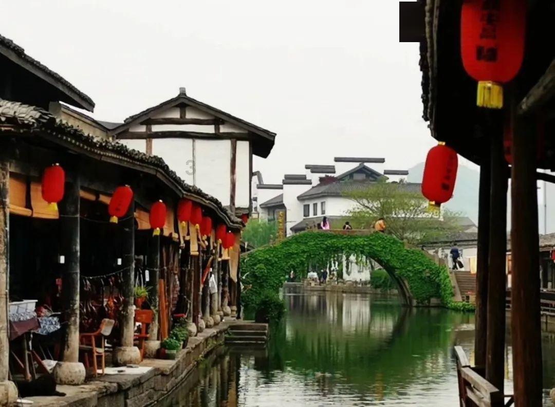 逃离大犀牛出没地