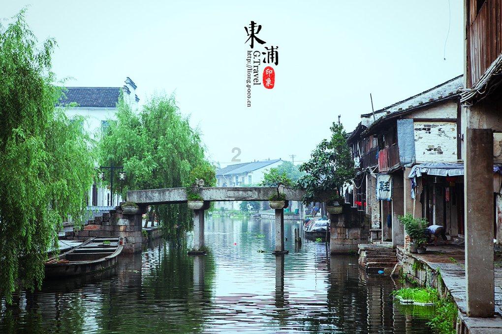 拯救蝙蝠家族