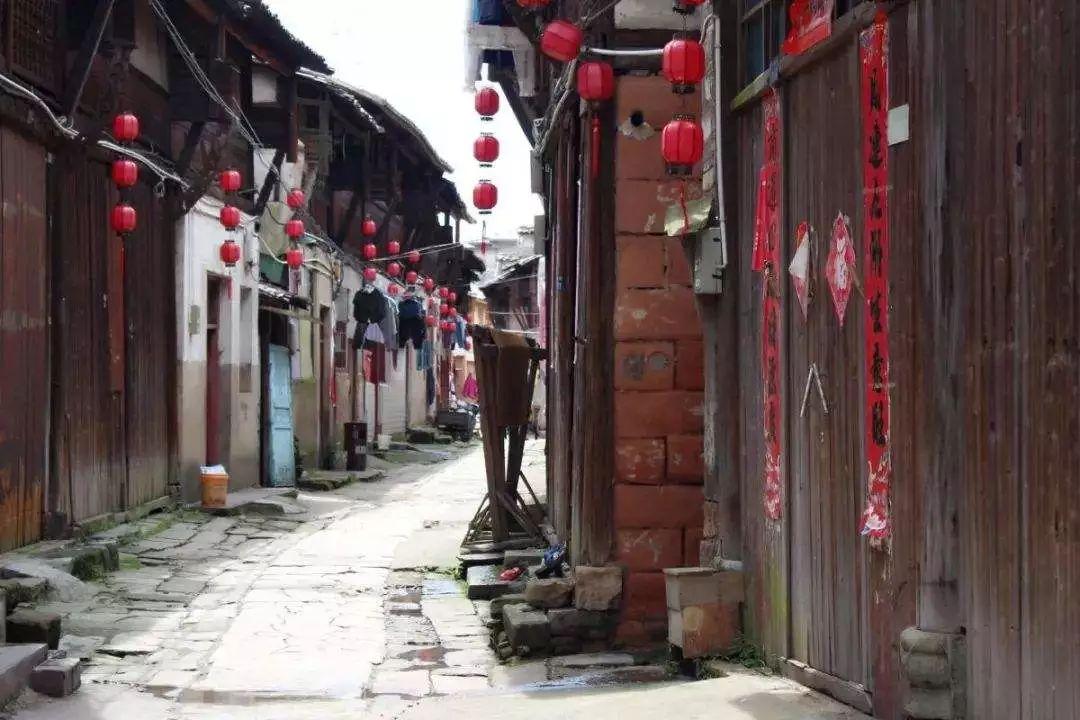 勇闯精灵大陆4