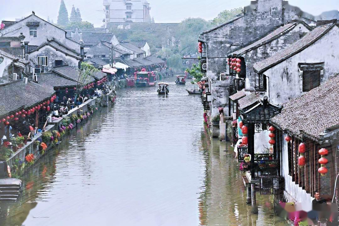 爱吃叶子的毛毛虫